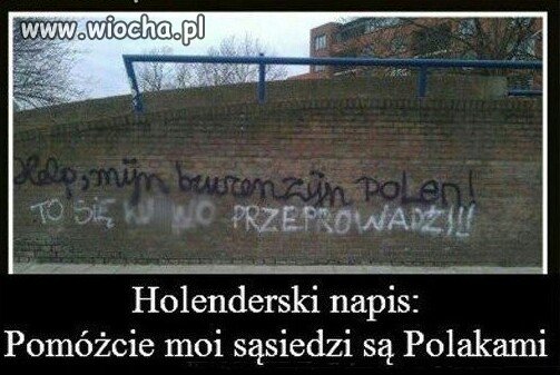 Cięta