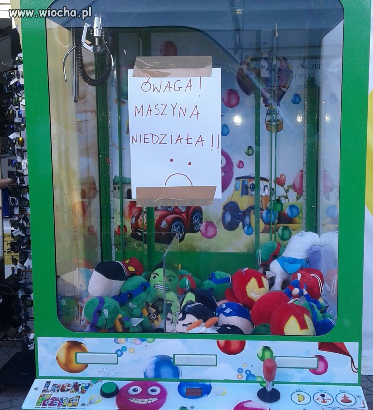 Mistrz ortografi w akcji