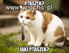 Ptaszek