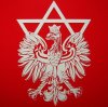 Dziwi was niemiecka flaga z półksiężycem 