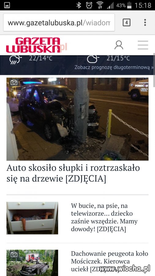 Takie tam drzewo