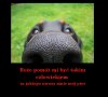 Przyjaciel