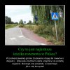 Ścieżka rowerowa dla początkujących.