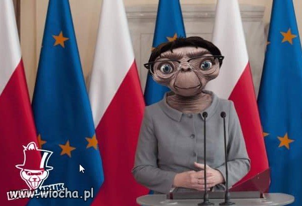 Obcy są wśród nas