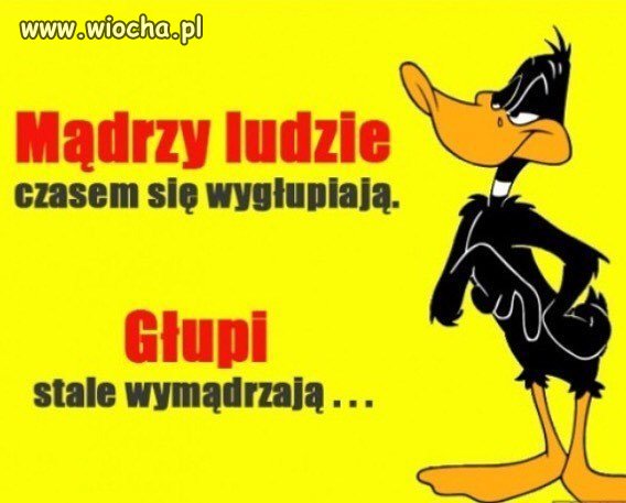Kurczem chyba należę do...