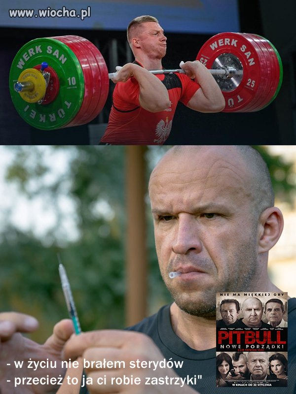 Pitbull nowe porządki