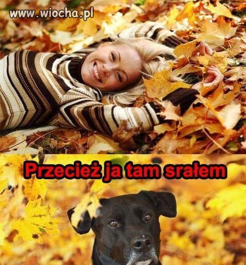 Ale jak to?