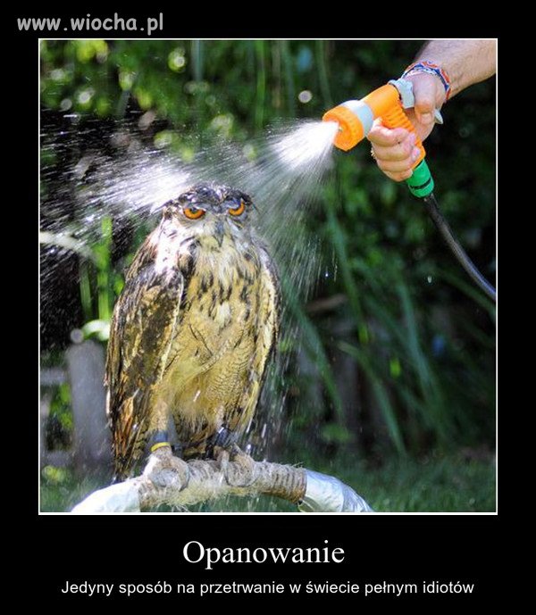 Zgadzam się. 