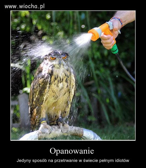 Zgadzam się. 