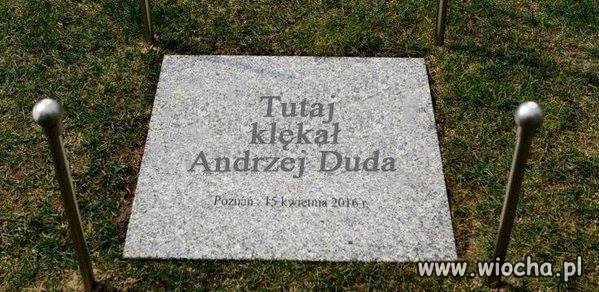 Takie i podobne już niedługo zaleją wiele miejsc