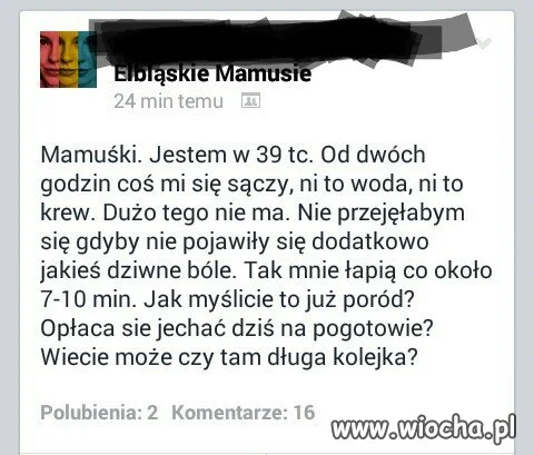 Elbląskie mamusie