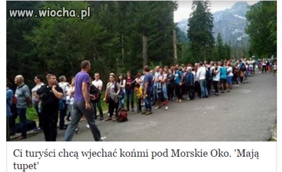 Coś ktoś nie dawno psioczył na babkę