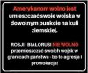 Co wolno 