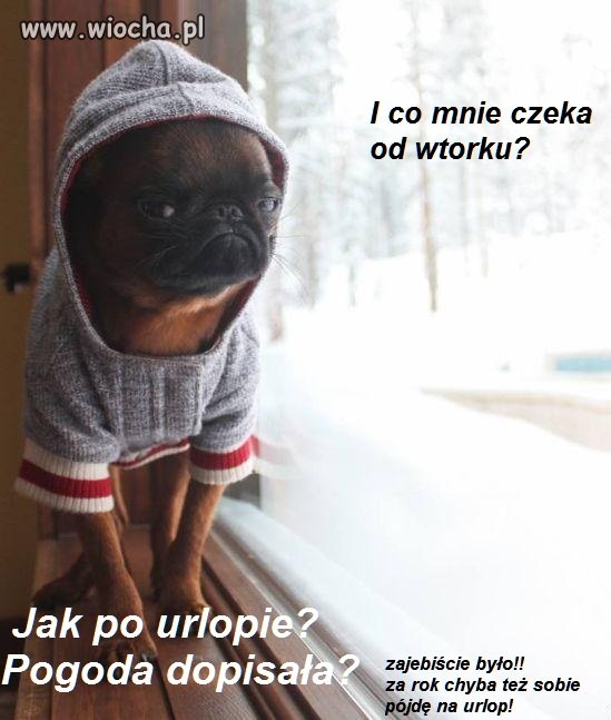 Najpiękniejsze dni w pracy!