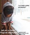 Najpiękniejsze dni w pracy!