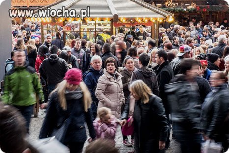  Mówią, że ludzie zwalniają się z pracy, bo państwo daje 116€ (500 zł) za dziecko. 