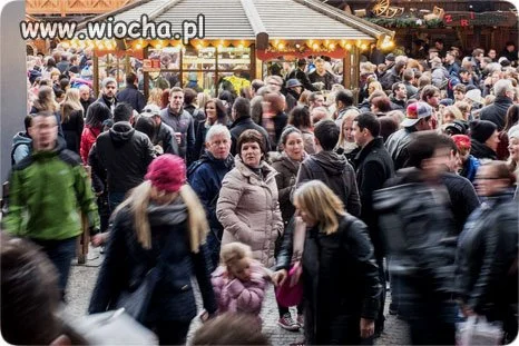  Mówią, że ludzie zwalniają się z pracy, bo państwo daje 116€ (500 zł) za dziecko. 