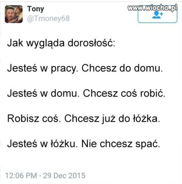 Dorosłość w skrócie