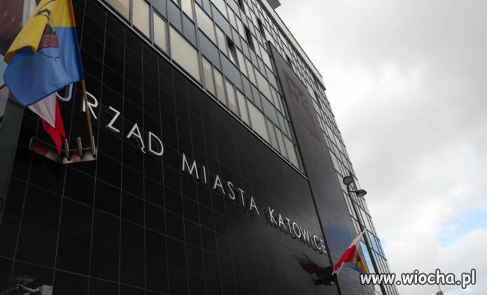 Fundacja Działa 3 miesiące dostała od Katowic 1 mln złotych