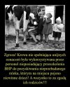 Rozporządzenia, normy, limity.