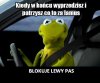Dla tych co nie wiedzą po co lewy pas.