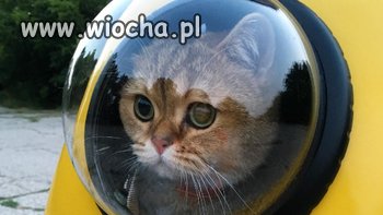 Chińczycy jako pierwsi 