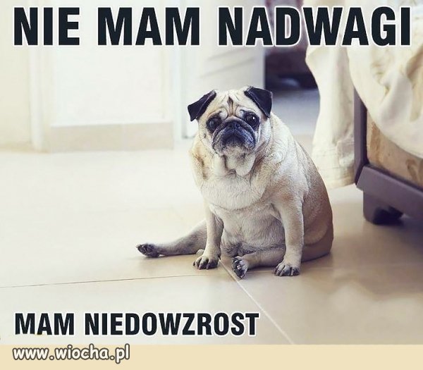 Nie mam nadwagi