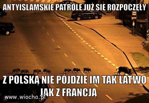 Nie dla islamizacji Polski