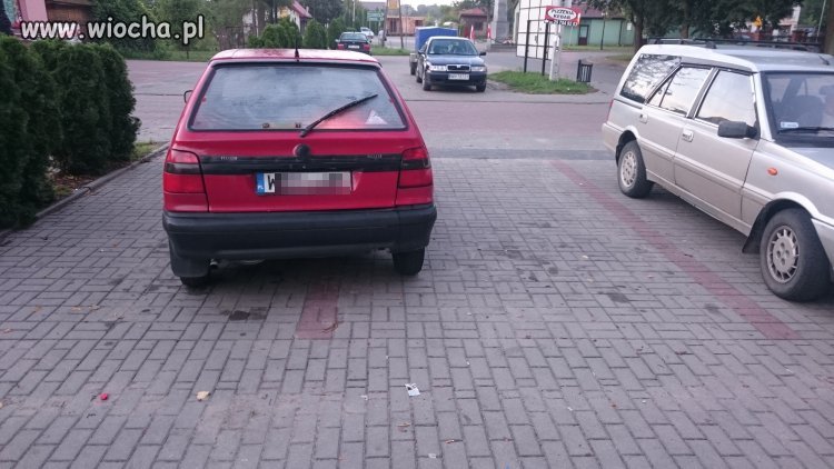 Mistrz parkowania 