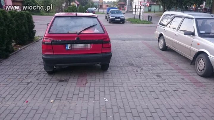 Mistrz parkowania 