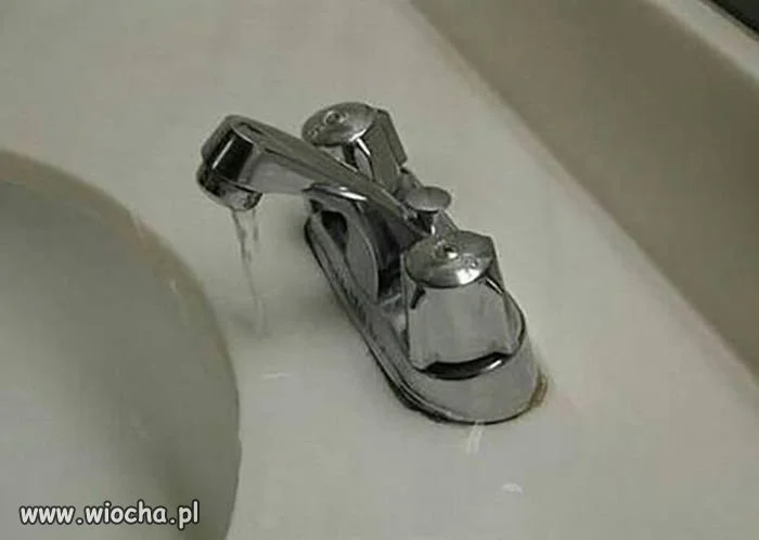 Spokojnie jestem inżynierem