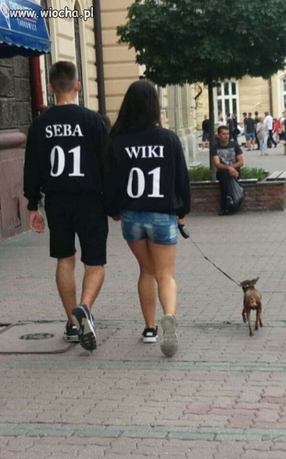 A piesek to jak się wabi?