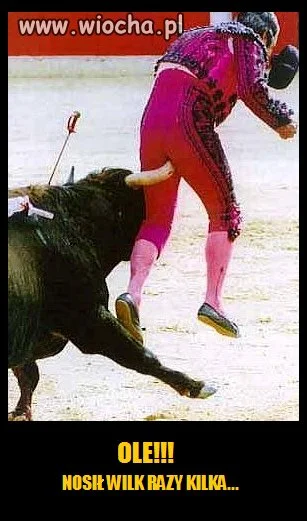 OLE!!!