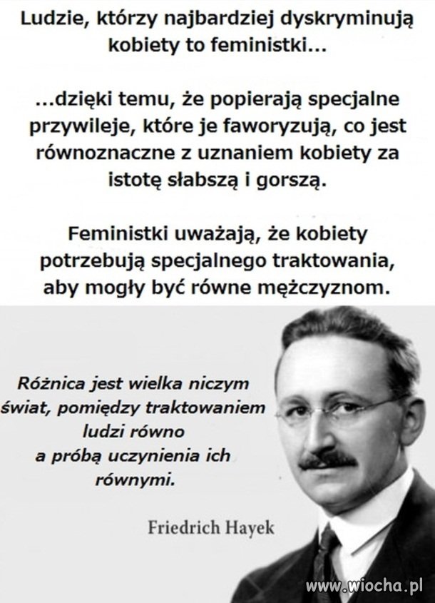 Podsumowanie feministek i równouprawnienia 