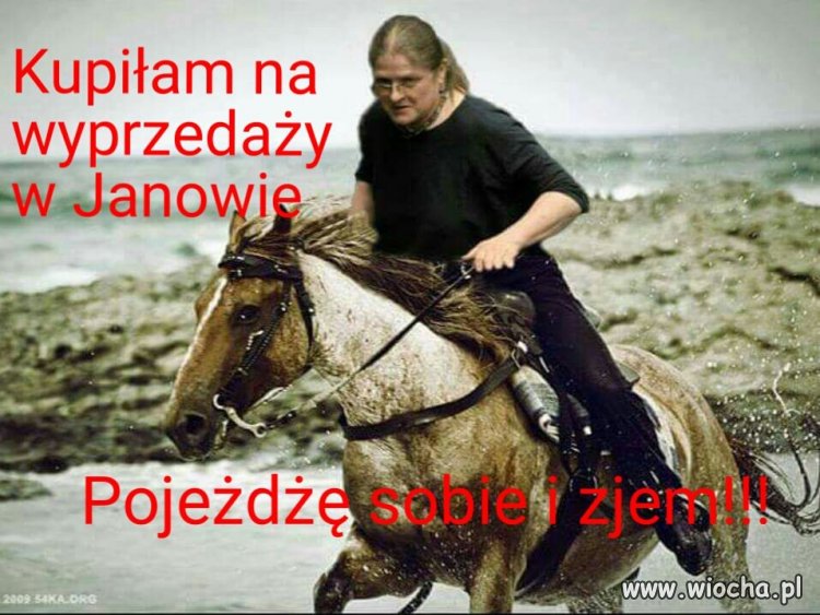 A po aukcji w Janowie jeździliśmy na koniach 