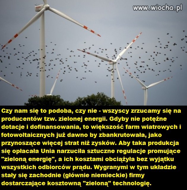 Za przymus produkcji "zielonej energii"