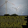 Za przymus produkcji "zielonej energii"