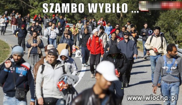 Szambo