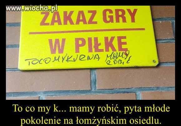 Młode wilczki