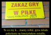 Młode wilczki