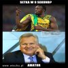 Setka