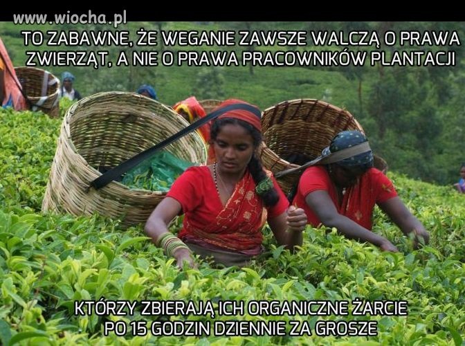 Trochę dziwne