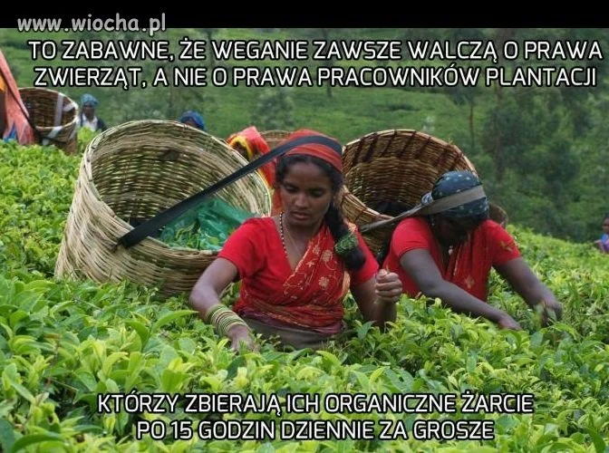 Trochę dziwne
