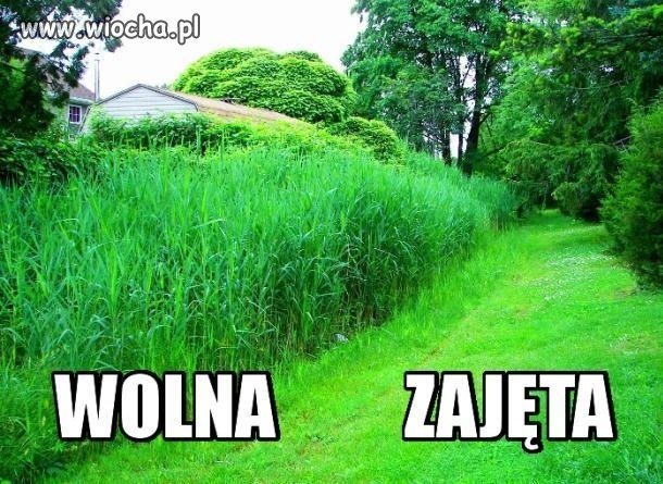 Laski takie są
