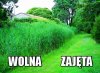 Laski takie są