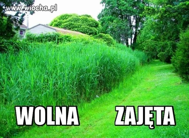 Laski takie są