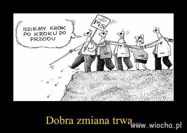Jedyne gdzie cię zaprowadzą