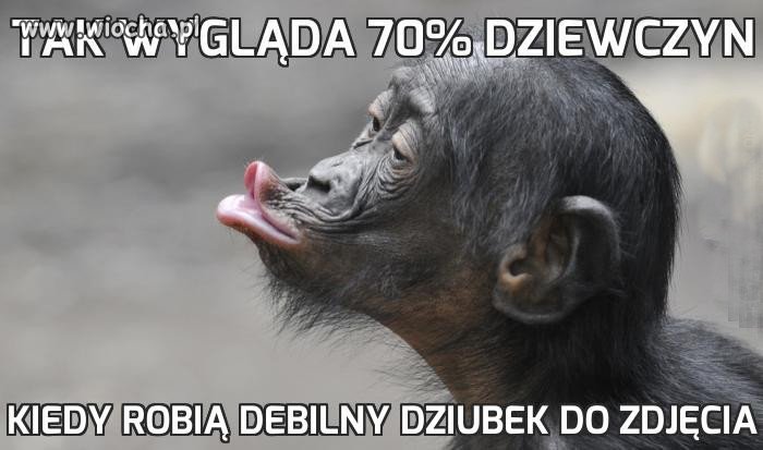 Dzióbek