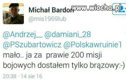 Tylko brąz