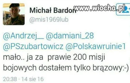 Tylko brąz